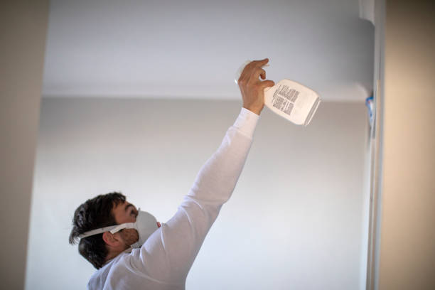 Best Residential Mold Removal  in Badieville, LA