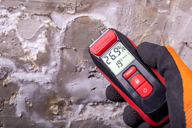 Best Mold Remediation  in Badieville, LA