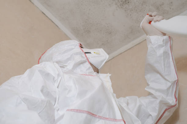 Best Certified Mold Removal  in Badieville, LA